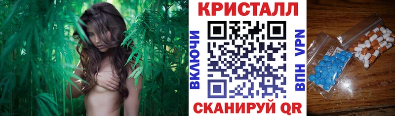 Amphetamine Premium Шилка