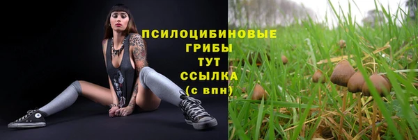 сатива Касимов