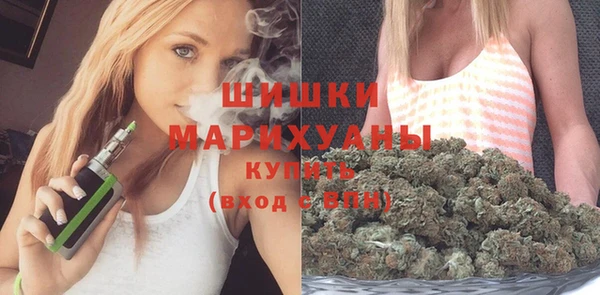 сатива Касимов