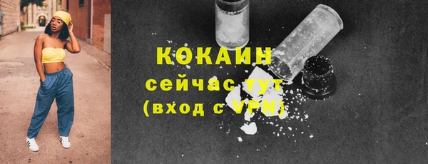 сатива Касимов